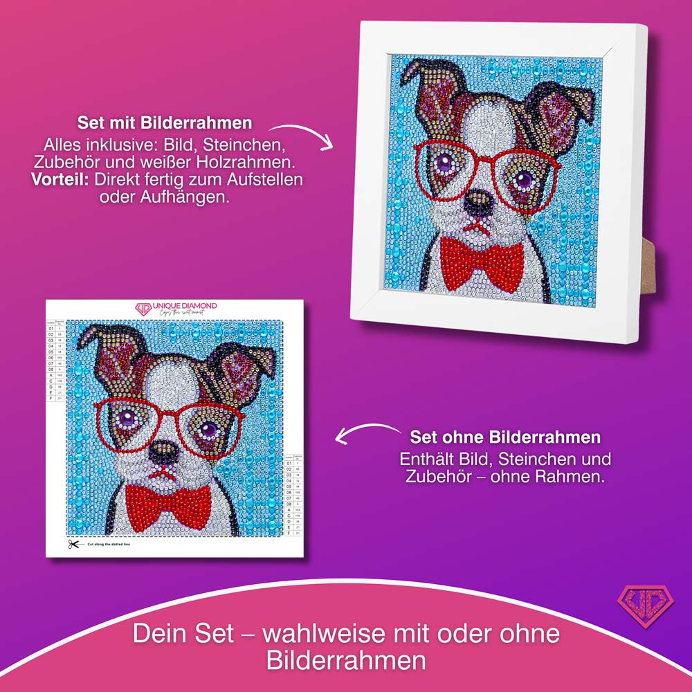 5D Diamond Painting Professor Wuff mit Strasssteine, Unique-Diamond