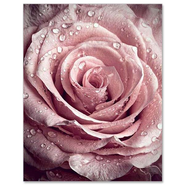 5D Diamond Painting Rosa Infinity Rose - Unique-Diamond