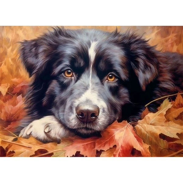 5D Diamond Painting Border Collie im Laub - Unique-Diamond