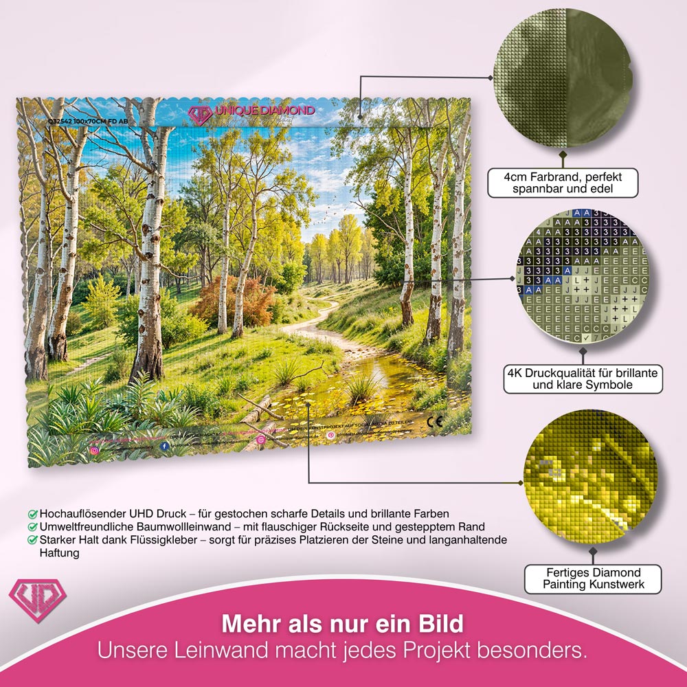 5D Diamond Painting – Feldweg im Birkenwald Unique-Diamond