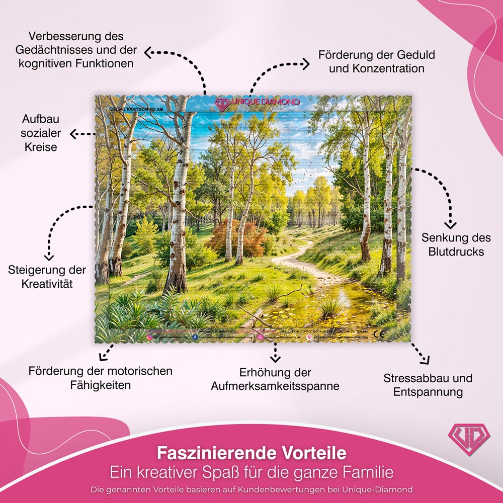5D Diamond Painting – Feldweg im Birkenwald Unique-Diamond