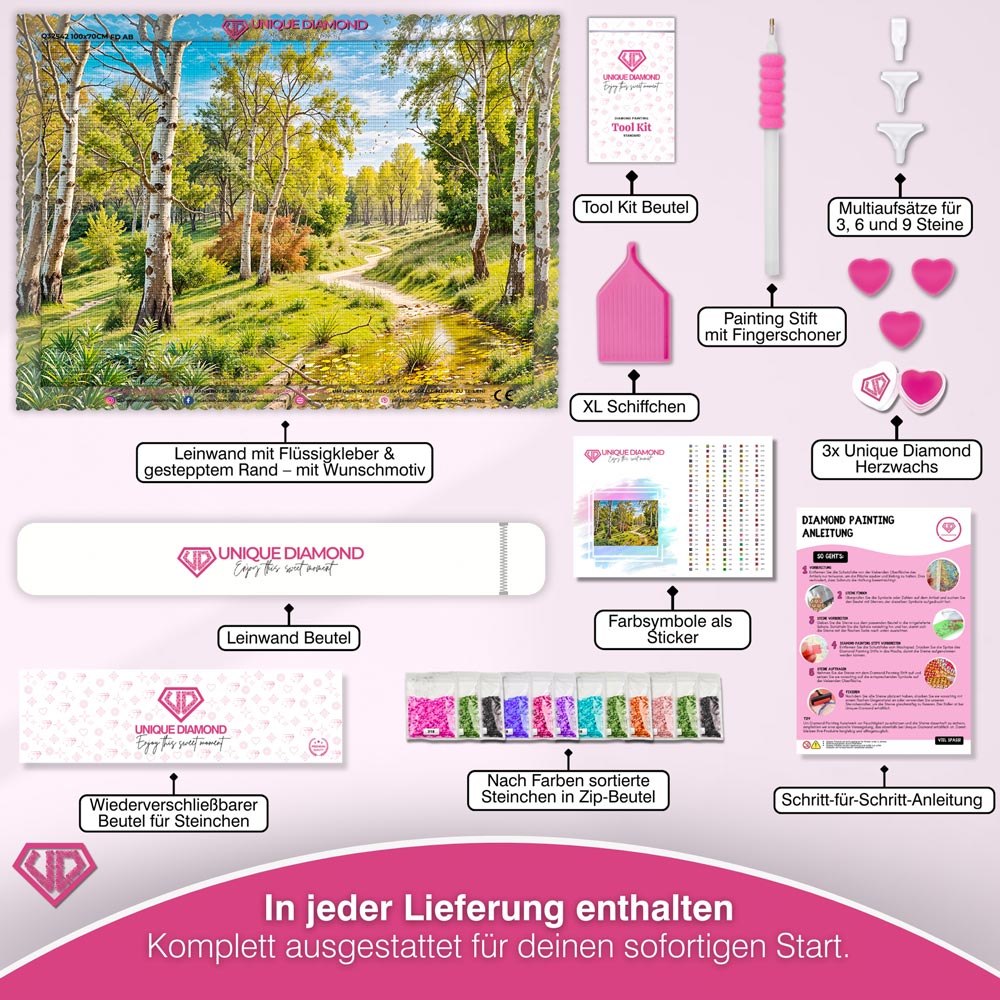 5D Diamond Painting – Feldweg im Birkenwald Unique-Diamond