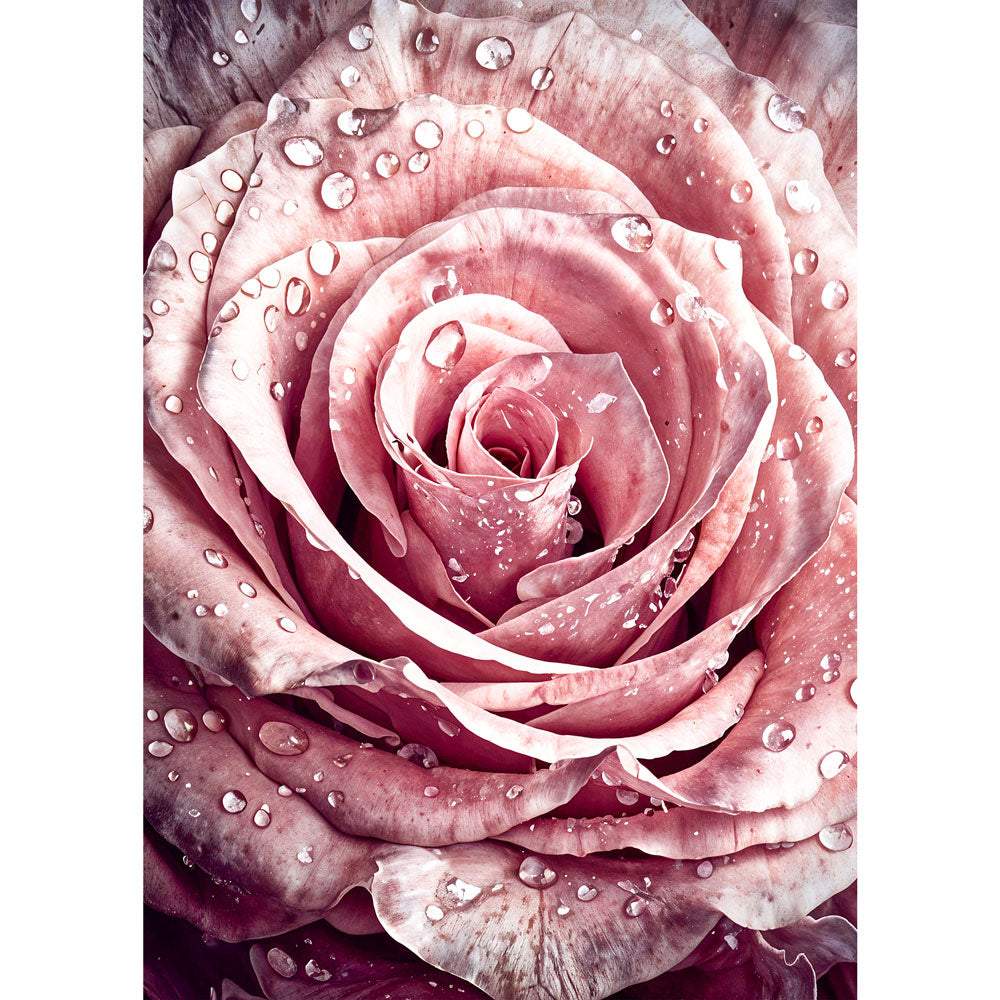 5D Diamond Painting Rosa Infinity Rose, Unique-Diamond
