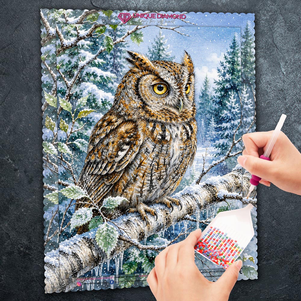 5D Diamond Painting – Aurelias Winterwacht