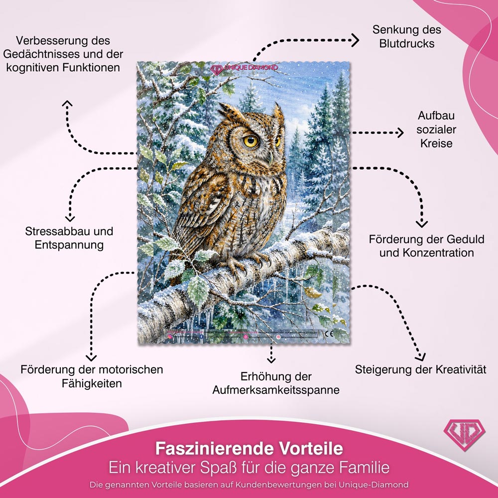 5D Diamond Painting – Aurelias Winterwacht