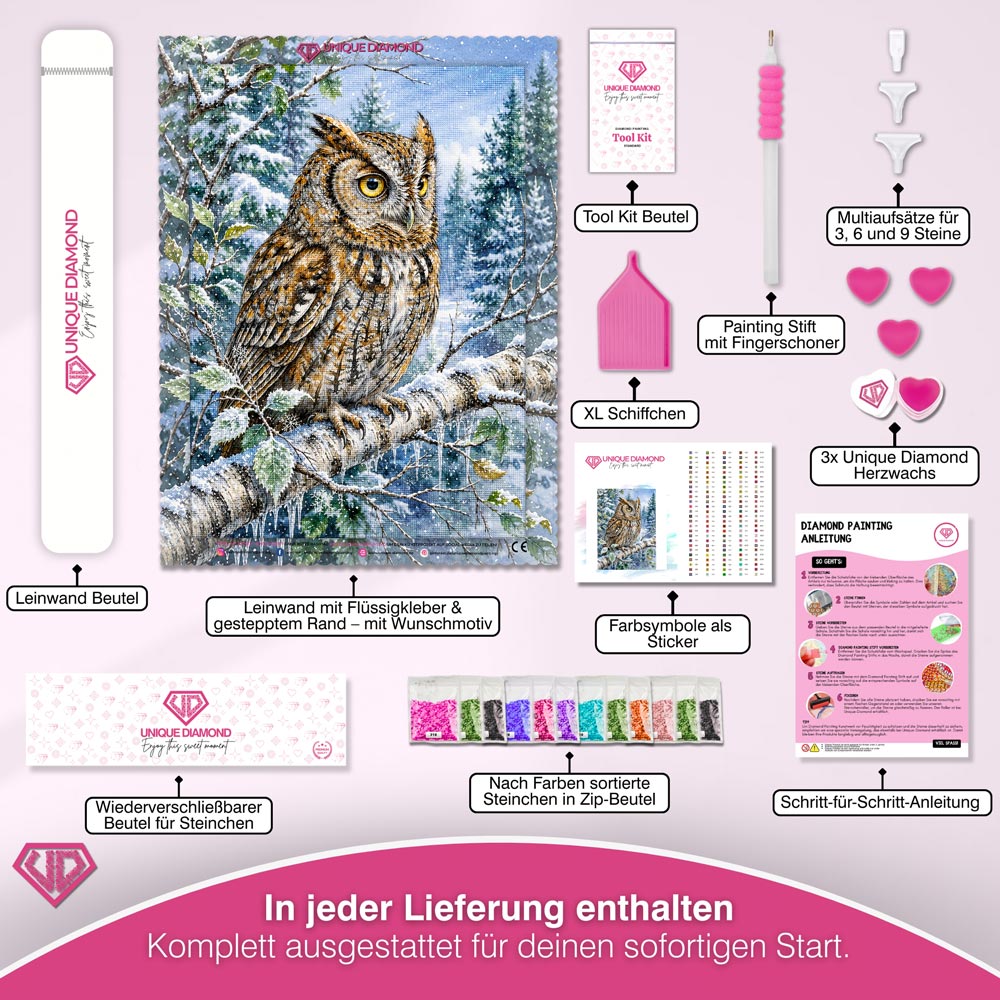 5D Diamond Painting – Aurelias Winterwacht