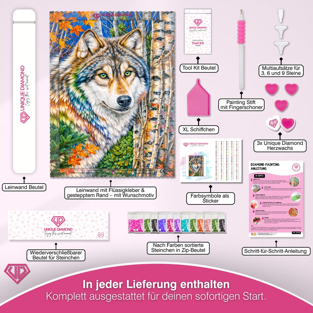 5D Diamond Painting – Autumn Spirit Wolf