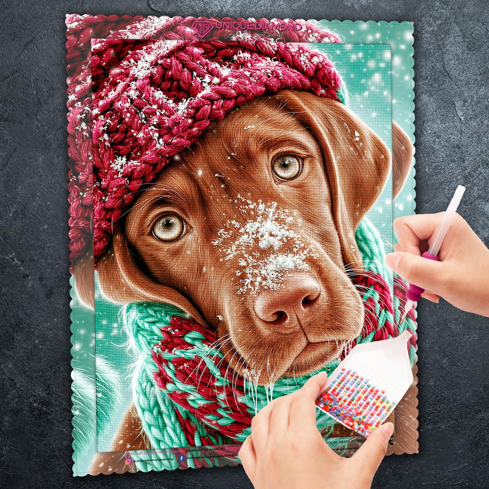 5D Diamond Painting – Bruno und die Schneeflockennase