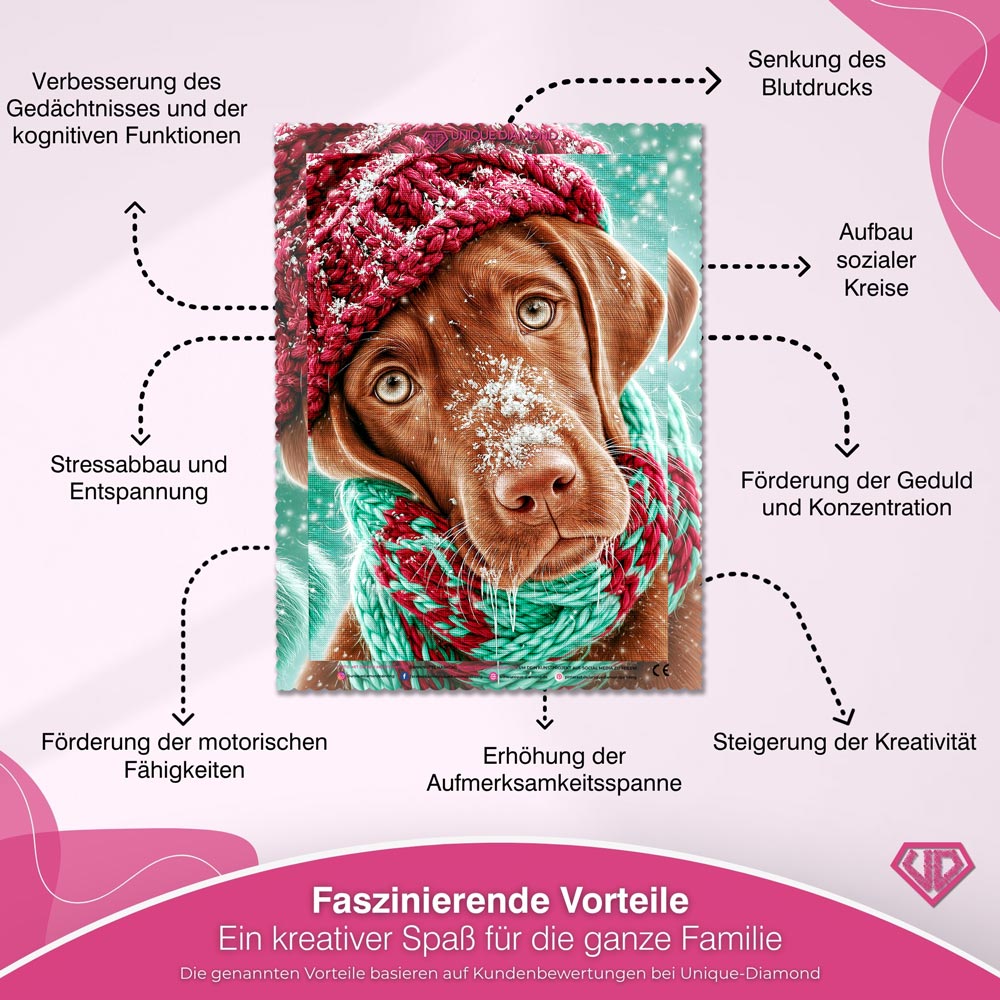 5D Diamond Painting – Bruno und die Schneeflockennase