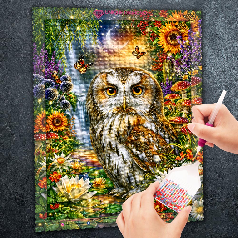 5D Diamond Painting – Eulenwächterin der Mondlichtquelle