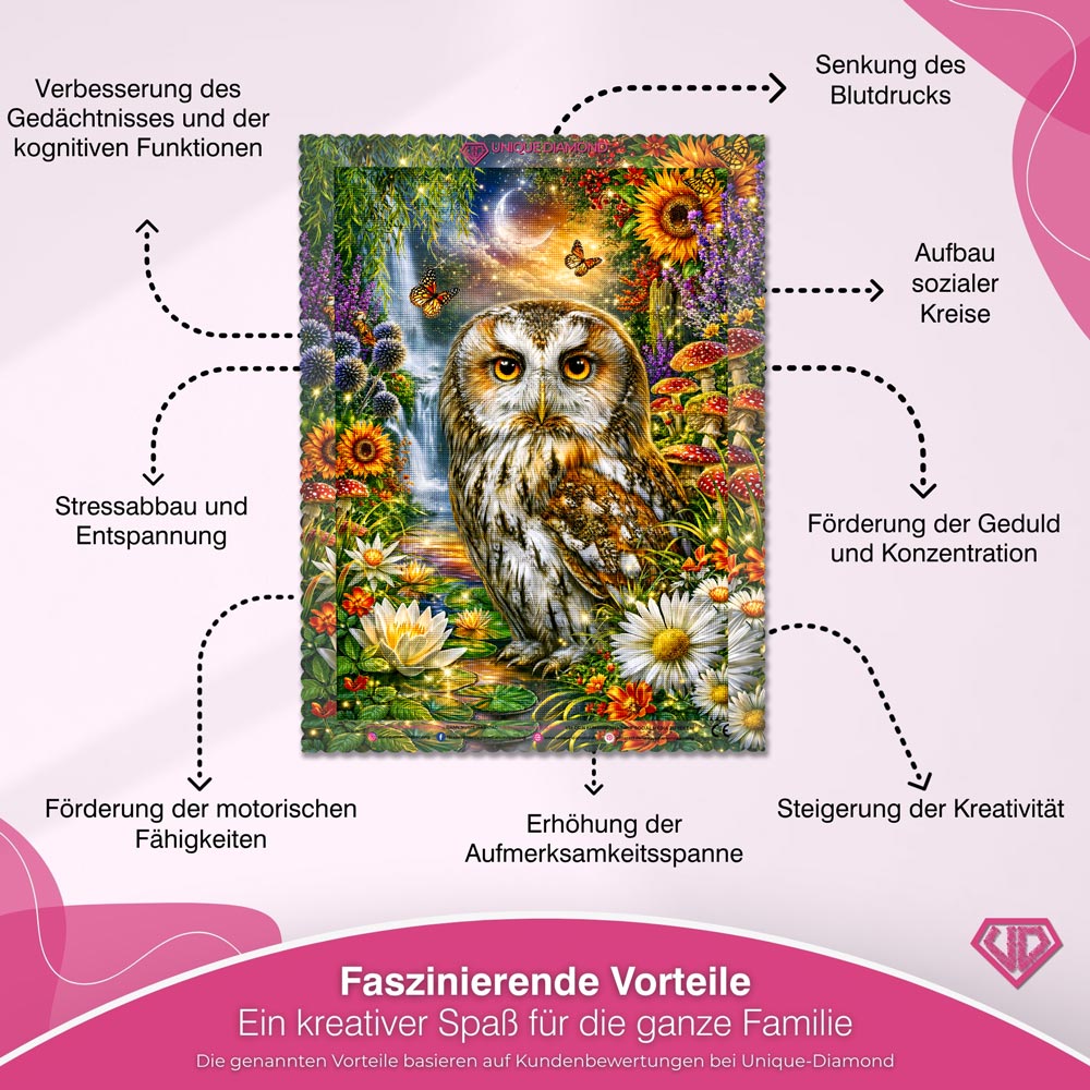 5D Diamond Painting – Eulenwächterin der Mondlichtquelle