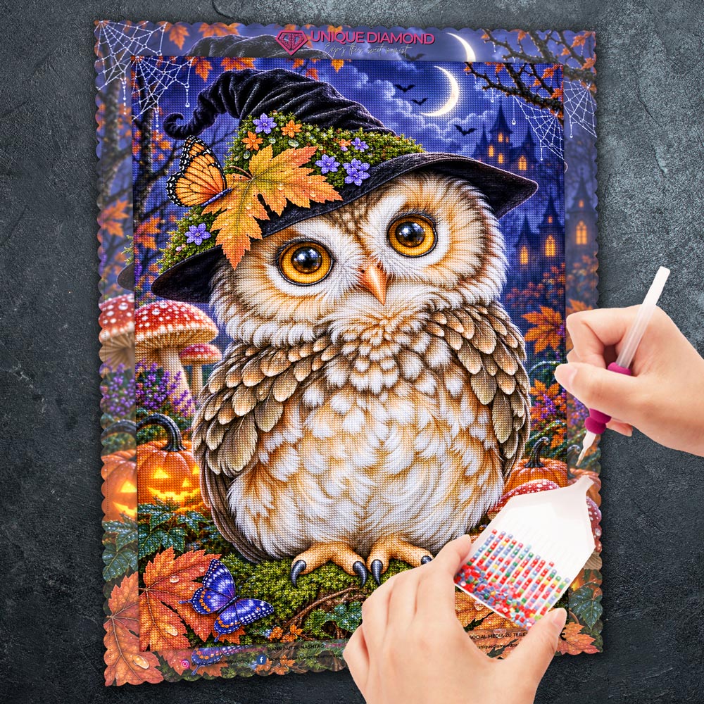 5D Diamond Painting – Eulenzauber im Herbstmond