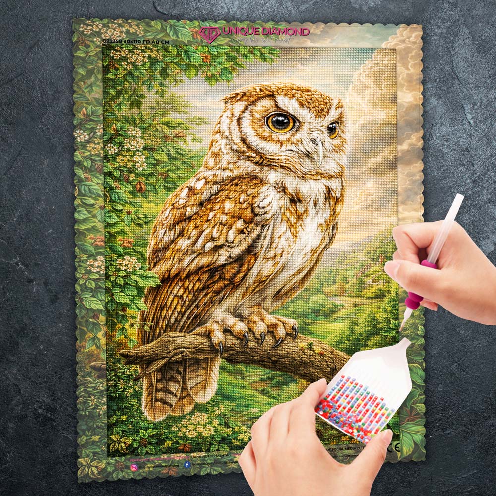 5D Diamond Painting – Eyes of Eloria Unique-Diamond