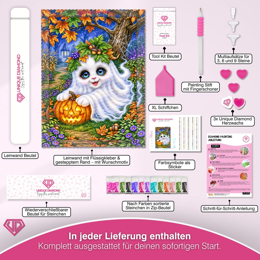 5D Diamond Painting – Kleiner Herbstgeist mit Kürbislicht