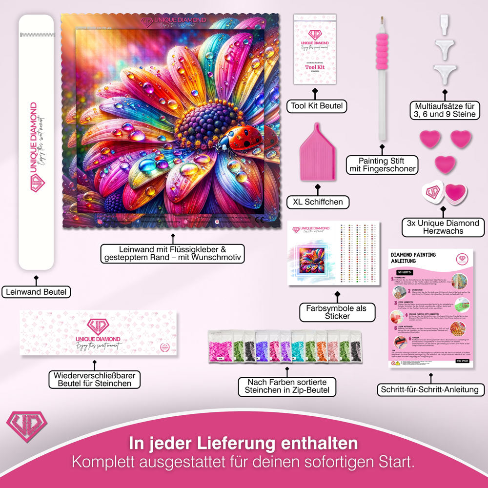 5D Diamond Painting – Regenbogenglühen mit Marienkäfer Unique-Diamond