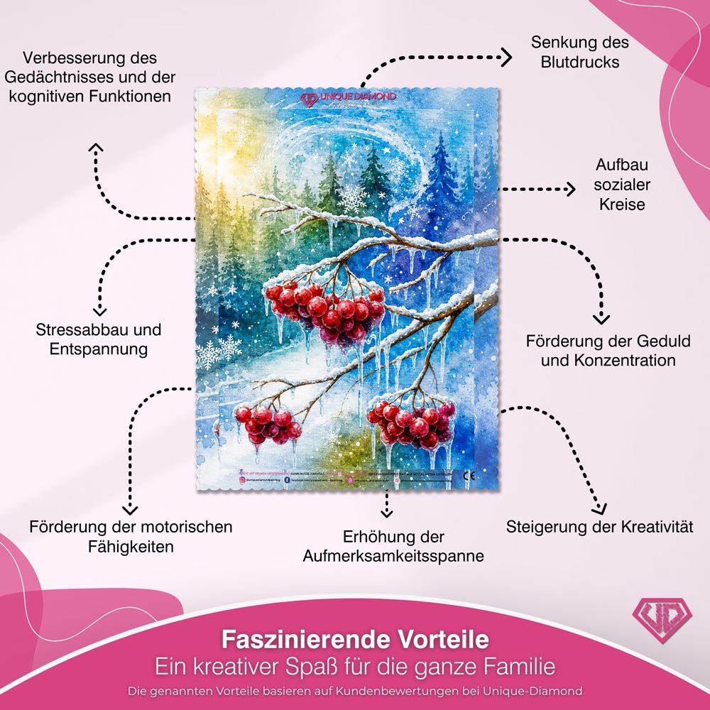 5D Diamond Painting – Rubine im Winterlicht