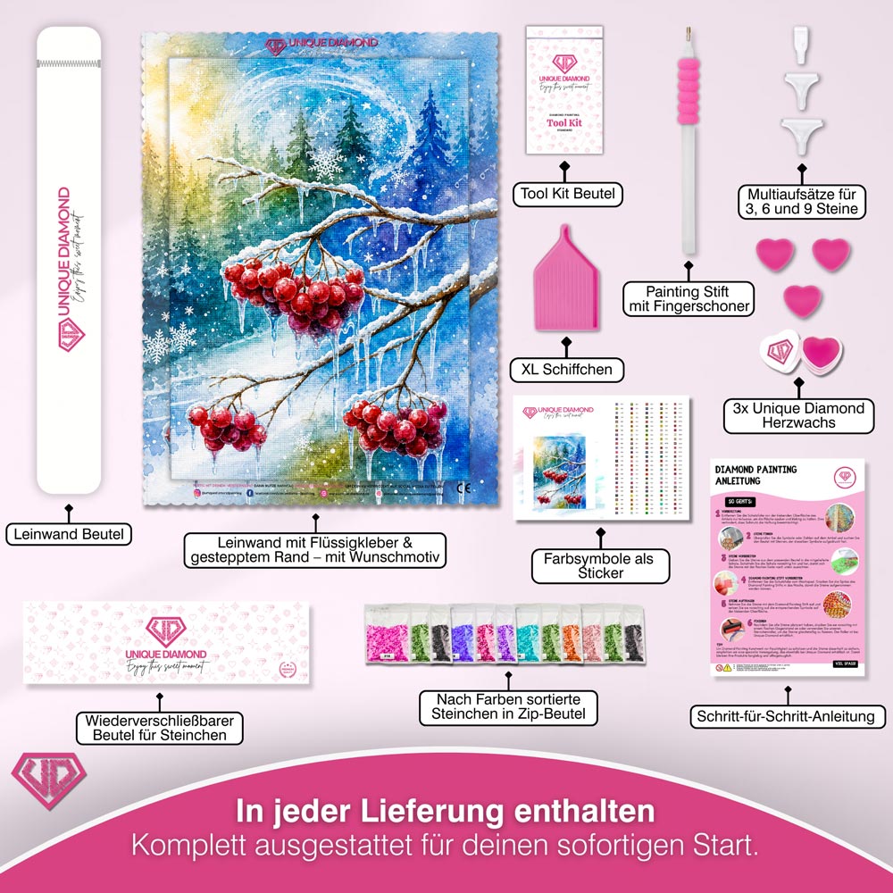 5D Diamond Painting – Rubine im Winterlicht