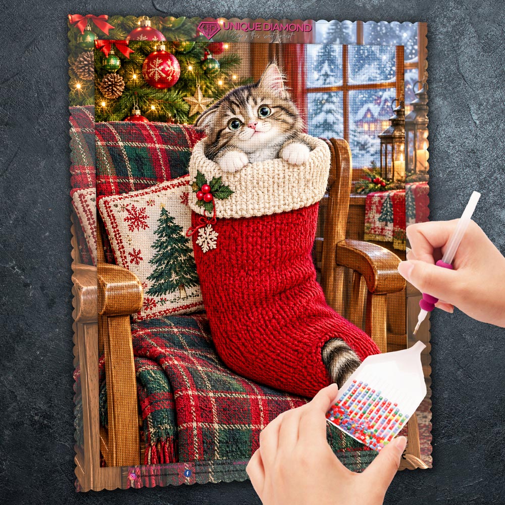5D Diamond Painting – Samtpfötchen im Weihnachtsstrumpf