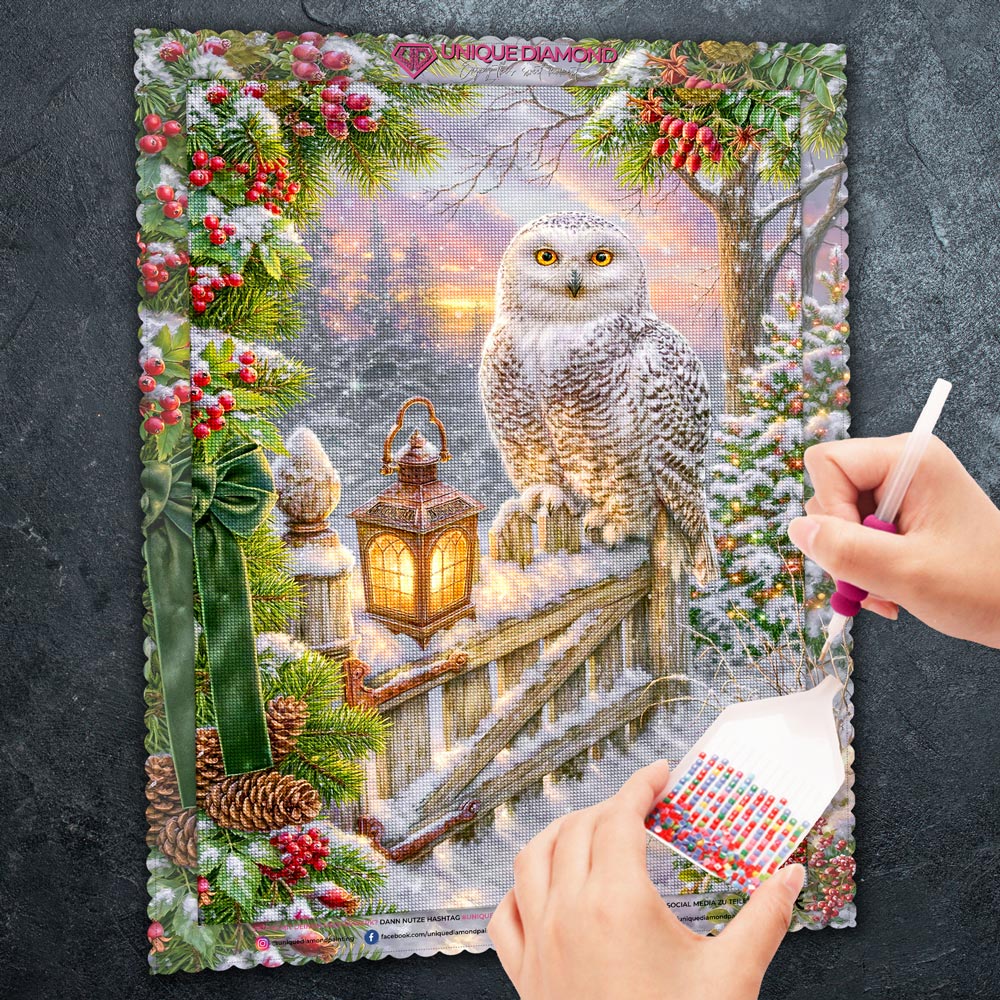 5D Diamond Painting – Schneeeule im Weihnachtszauber