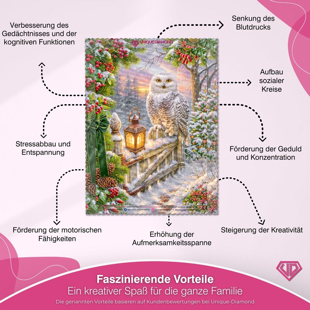 5D Diamond Painting – Schneeeule im Weihnachtszauber