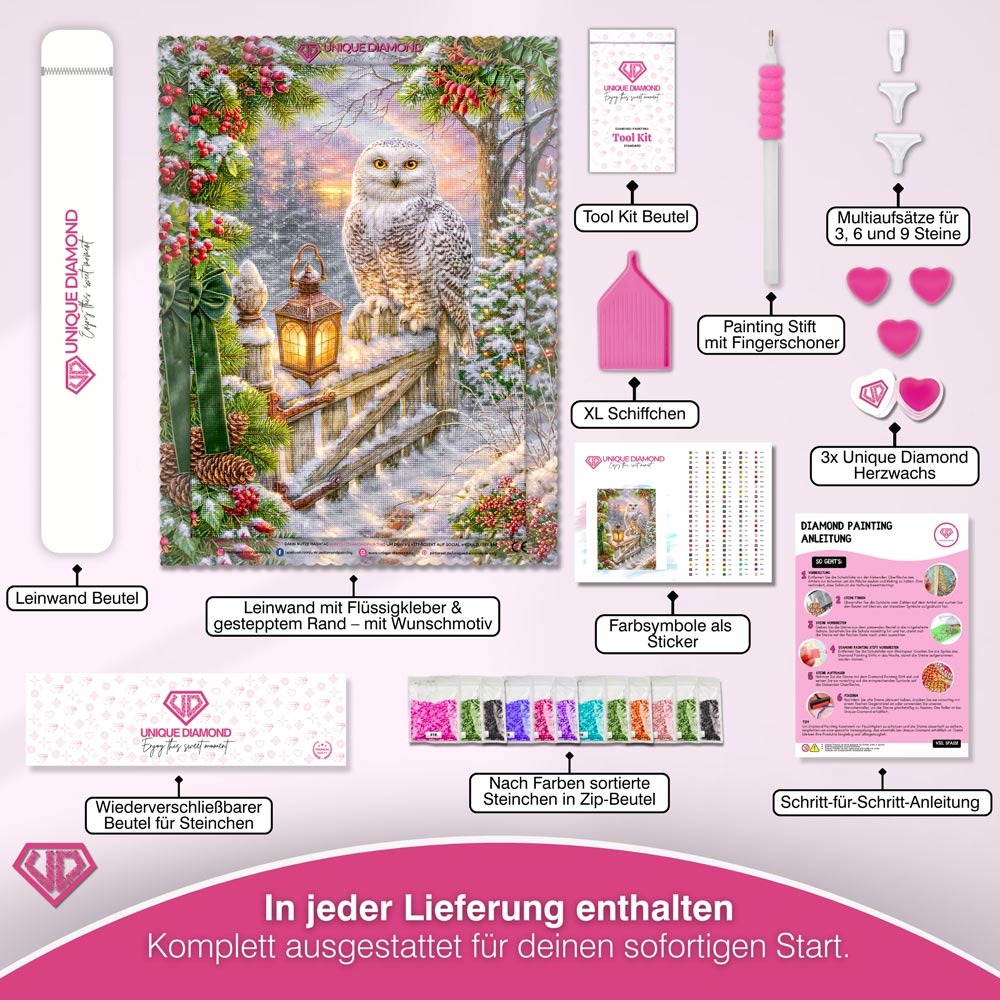 5D Diamond Painting – Schneeeule im Weihnachtszauber