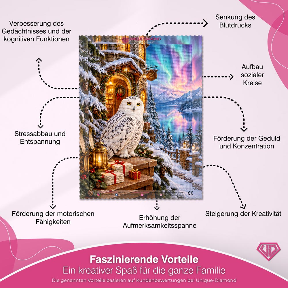 5D Diamond Painting – Schneeeulenpost im Nordlichtzauber