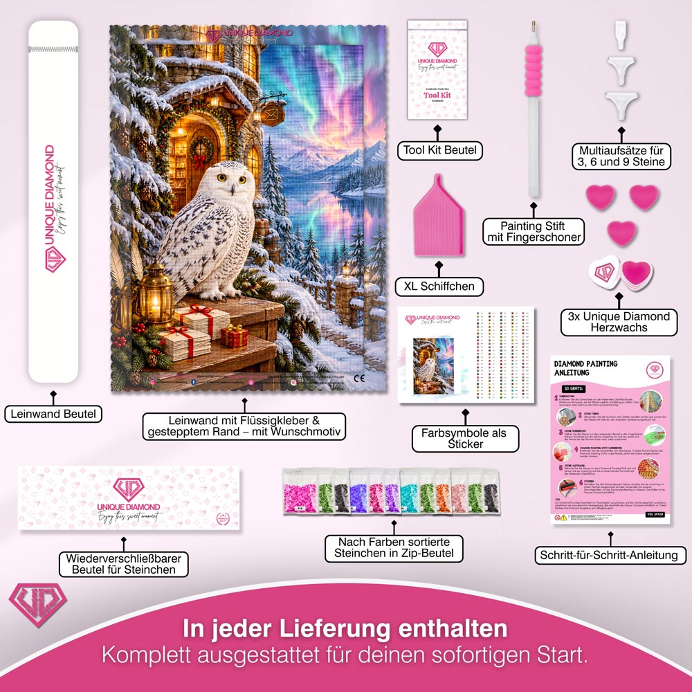 5D Diamond Painting – Schneeeulenpost im Nordlichtzauber