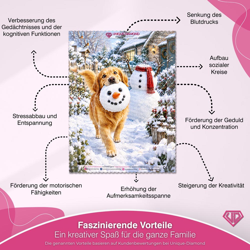 5D Diamond Painting – Schneemanndieb auf vier Pfoten