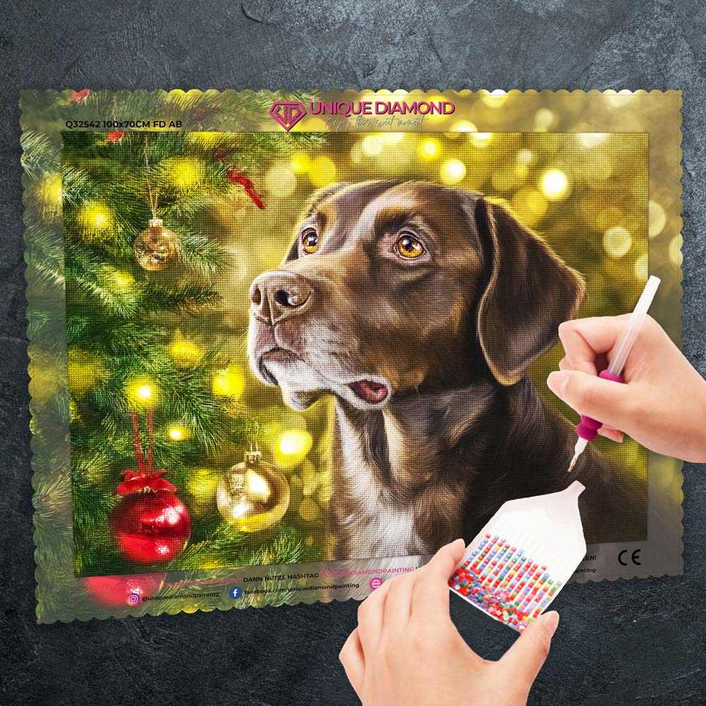 5D Diamond Painting – Treue Augen im Lichterglanz