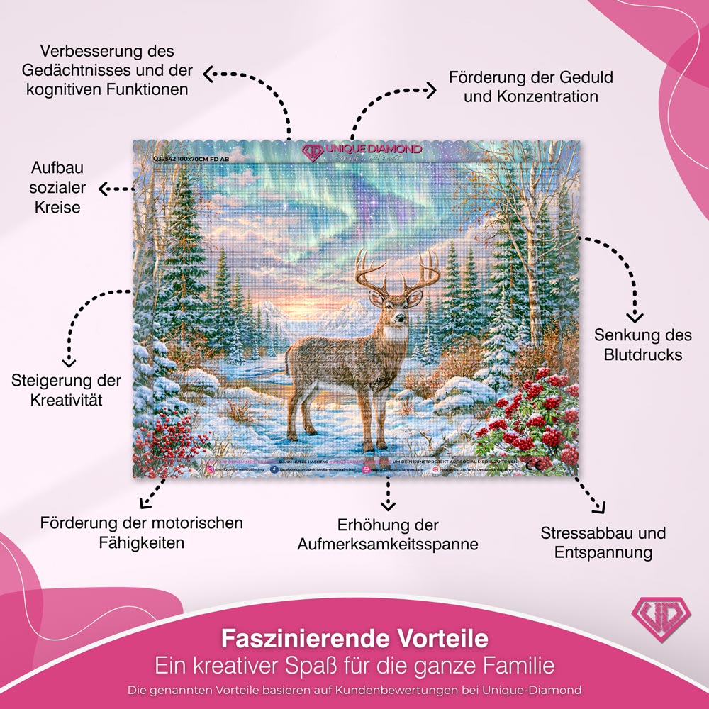 5D Diamond Painting – Wächter des Nordlichts