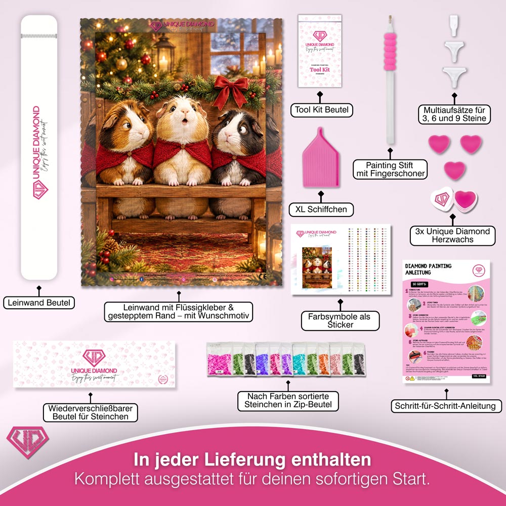5D Diamond Painting – Weihnachtschor der Meerschweinchen
