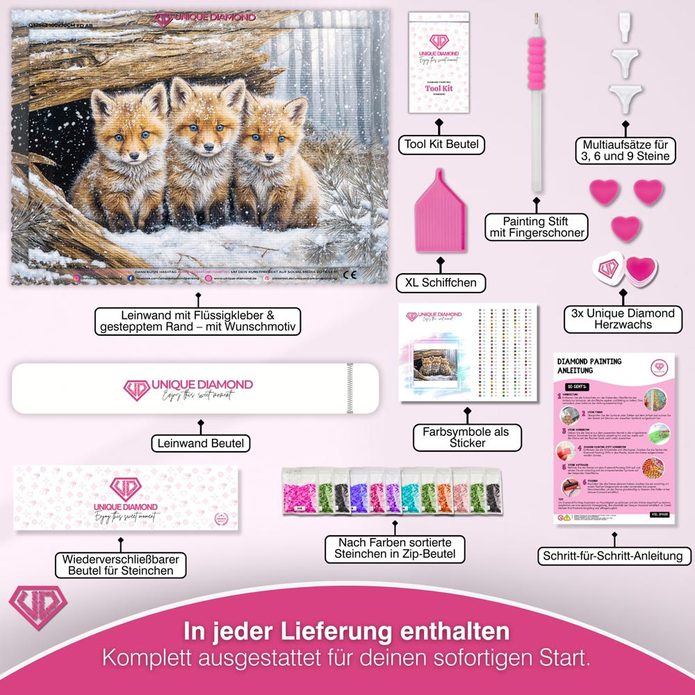 5D Diamond Painting – Winterfreunde im Fuchsbau