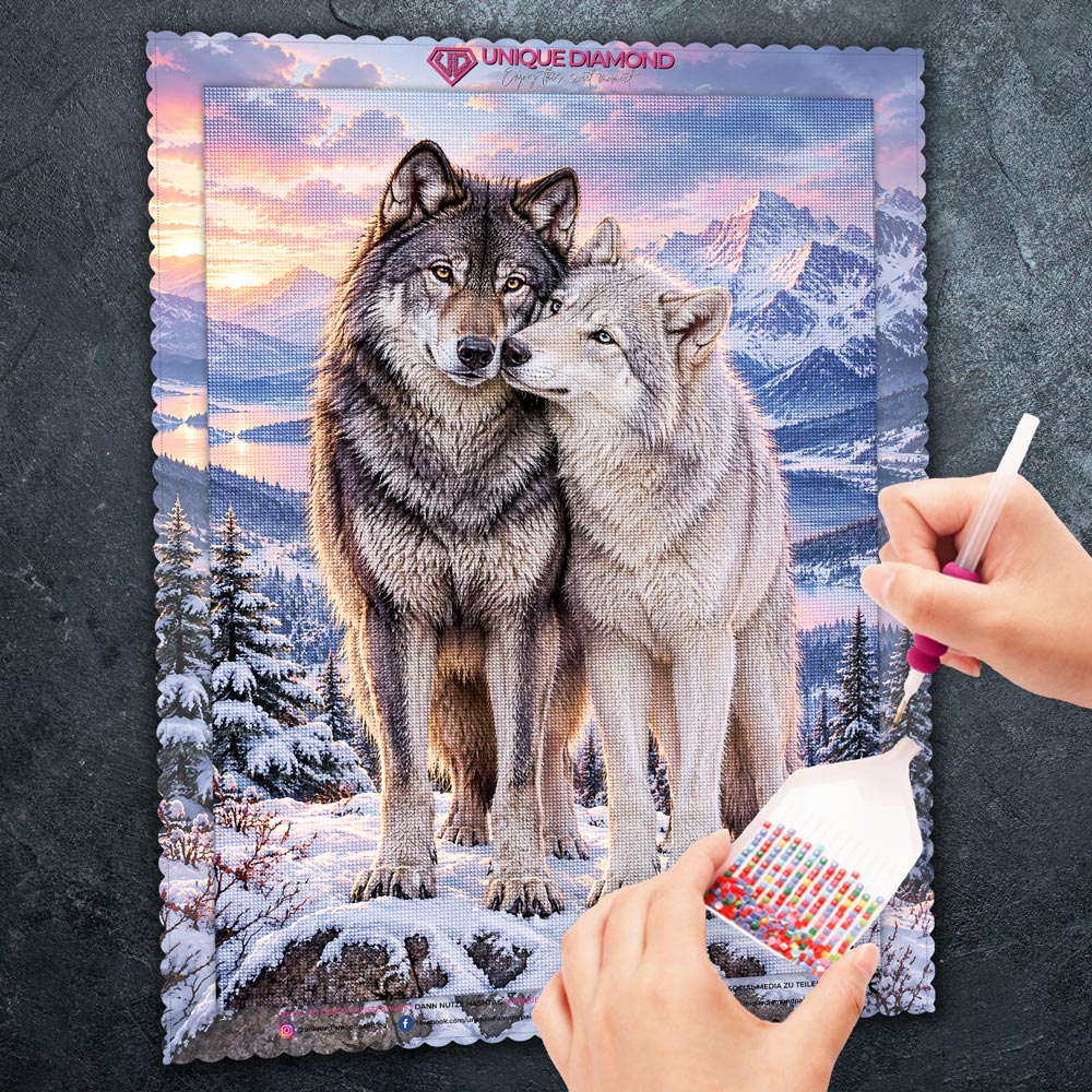 5D Diamond Painting – Wolfsverbunden im Winterlicht