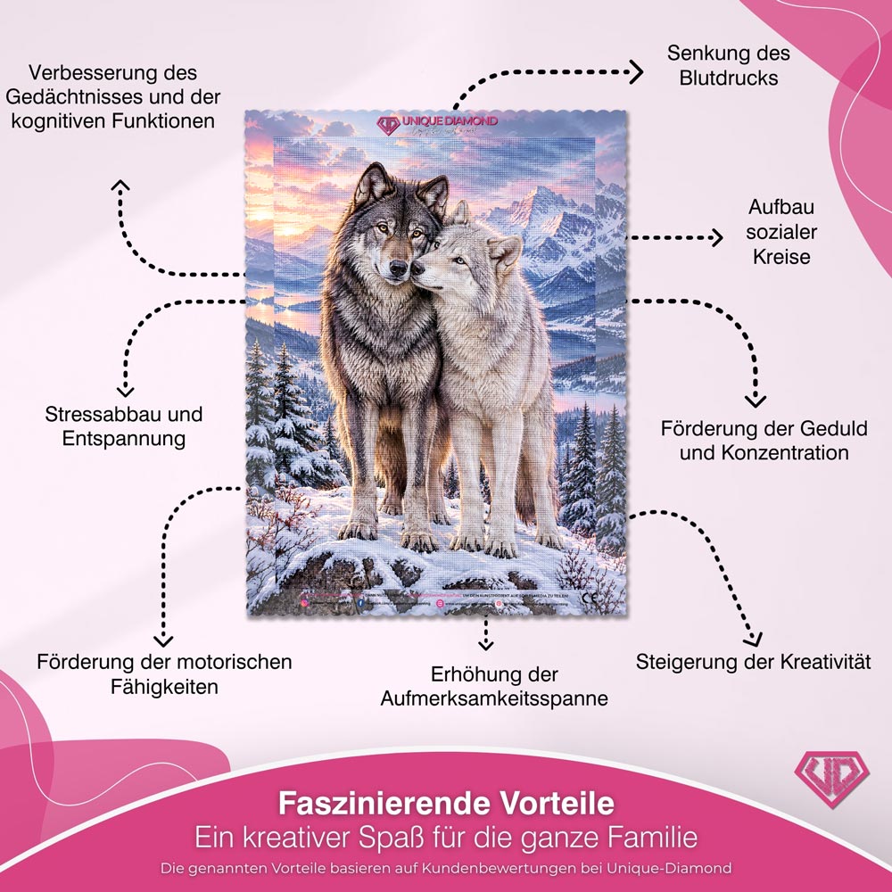 5D Diamond Painting – Wolfsverbunden im Winterlicht