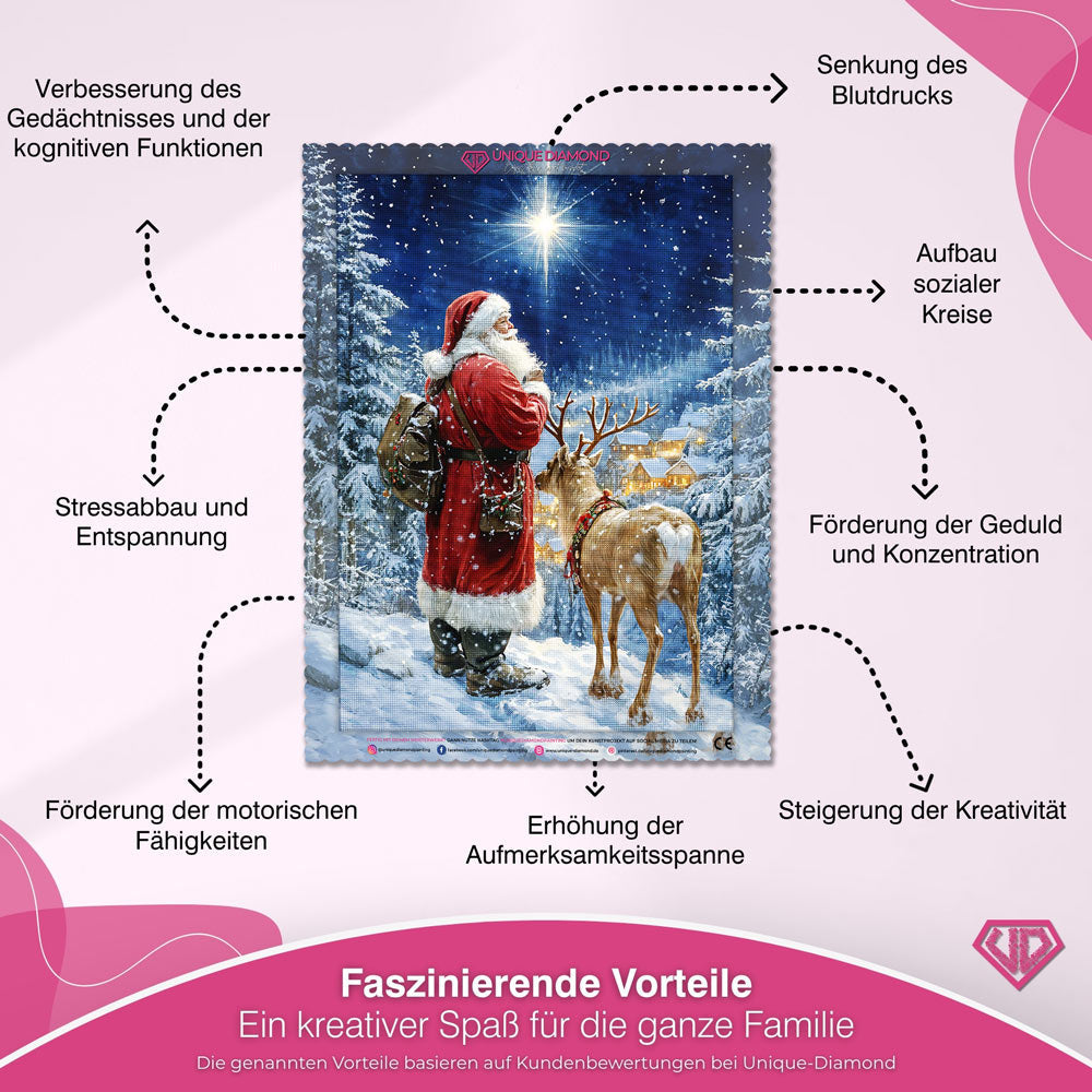 5D Diamond Painting – Der Weihnachtsstern Unique-Diamond