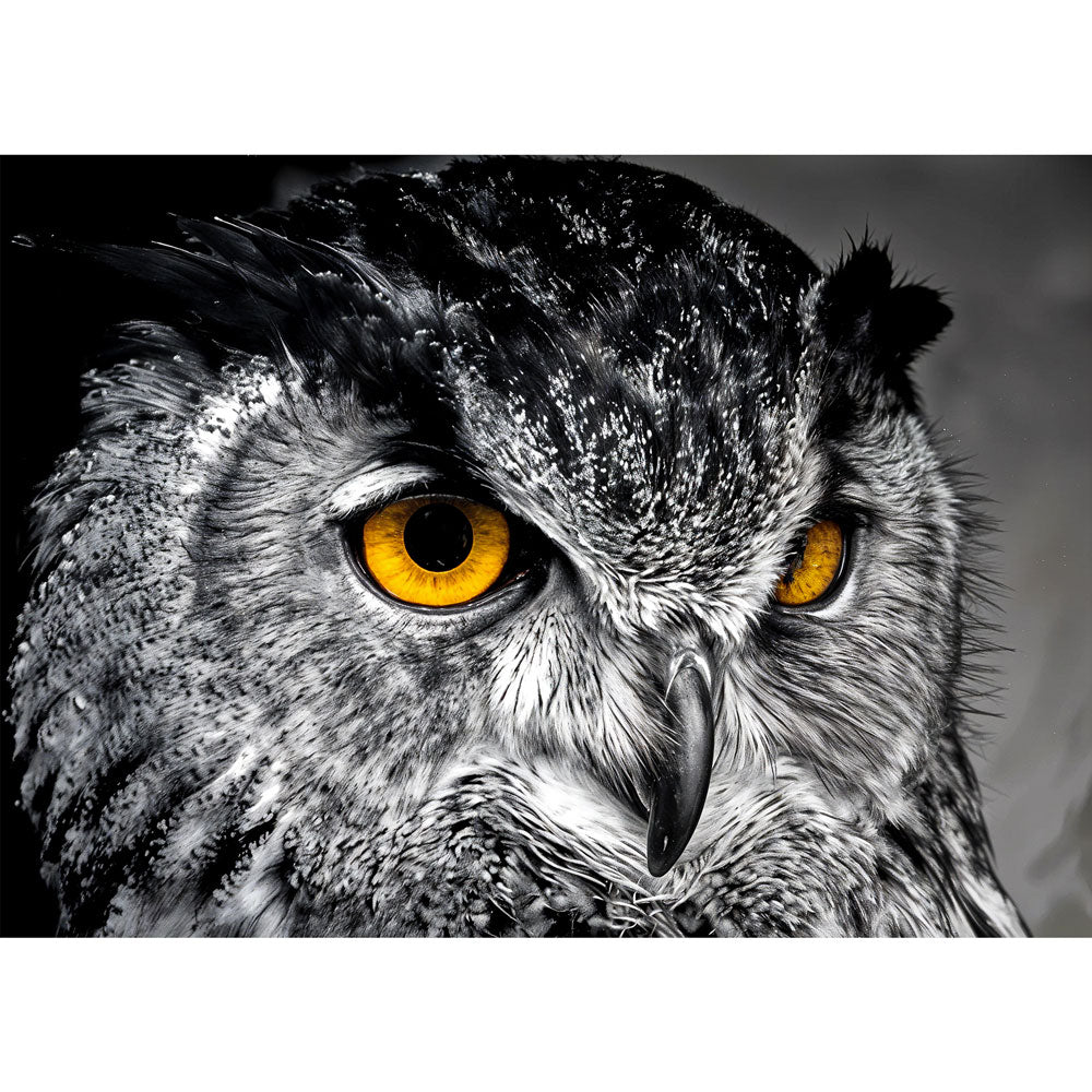 5D Diamond Painting – Eule der Nacht Unique-Diamond