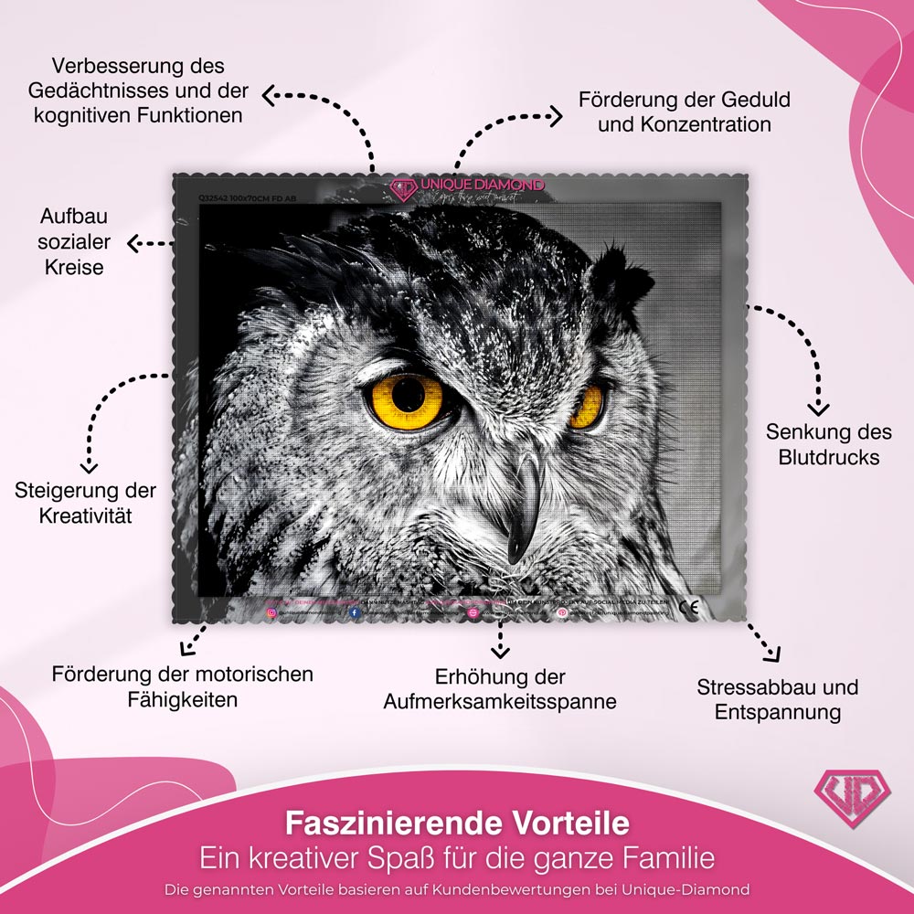 5D Diamond Painting – Eule der Nacht Unique-Diamond