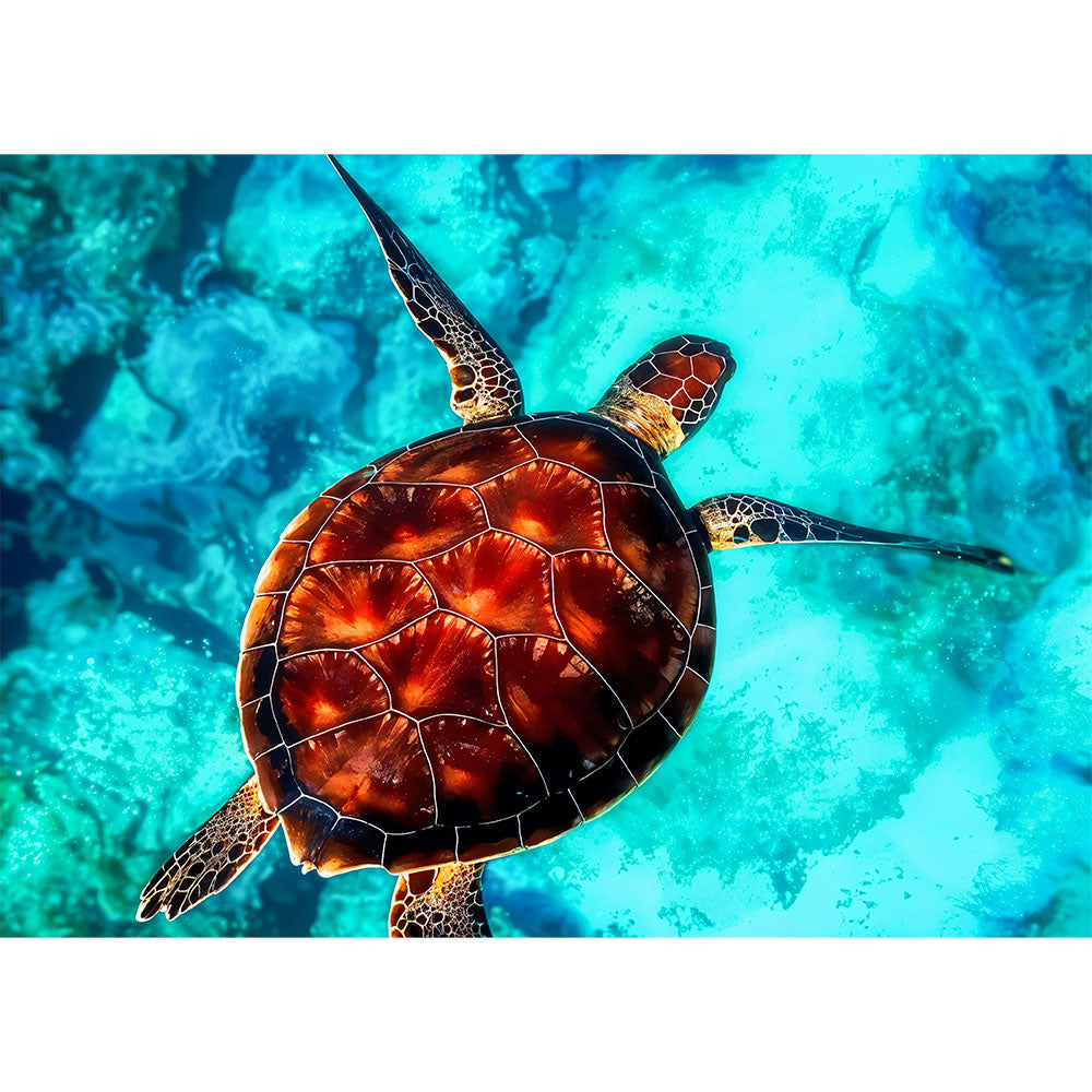 5D Diamond Painting – Ozean Schildkröte Unique-Diamond