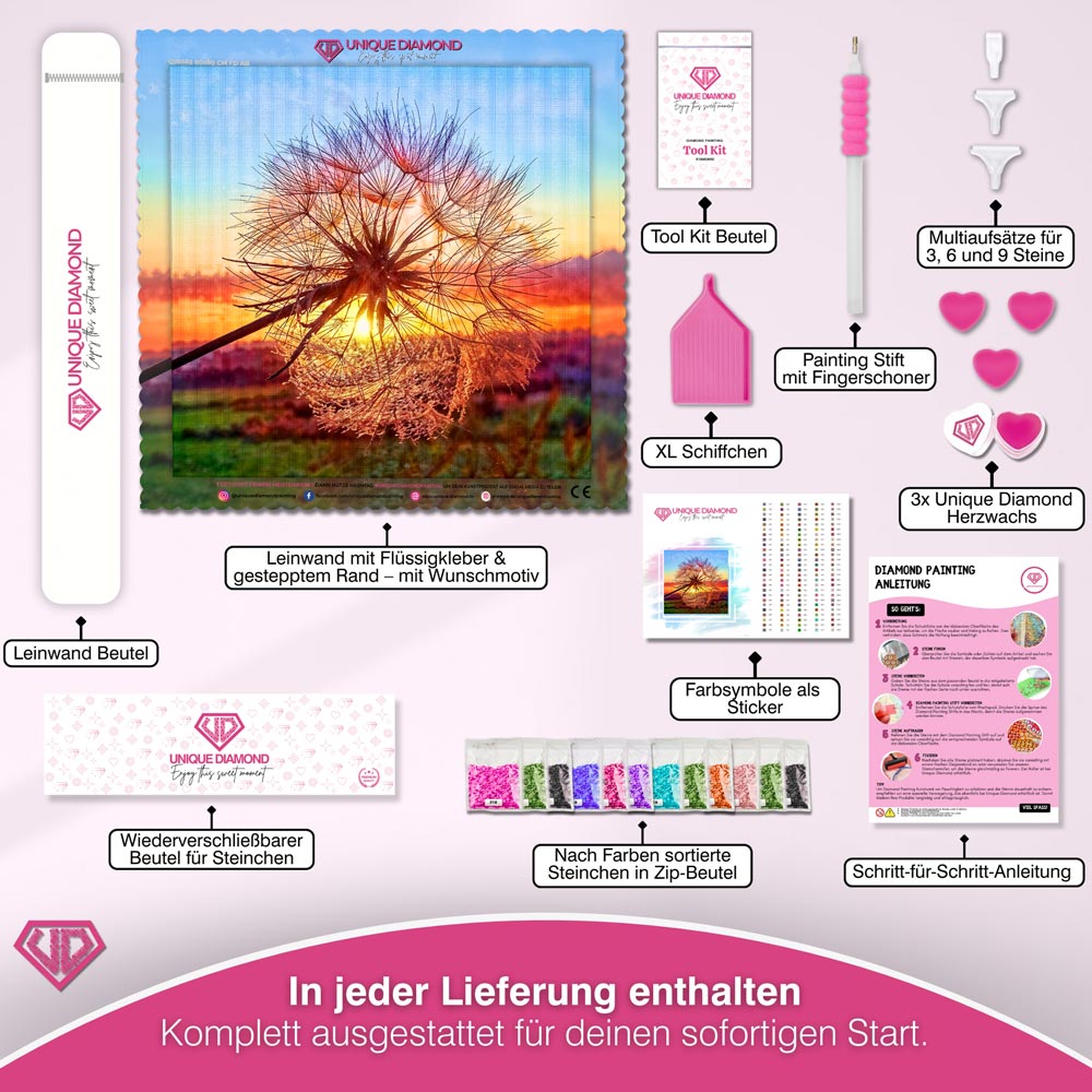 5D Diamond Painting – Pusteblume bei Sonnenuntergang Unique-Diamond