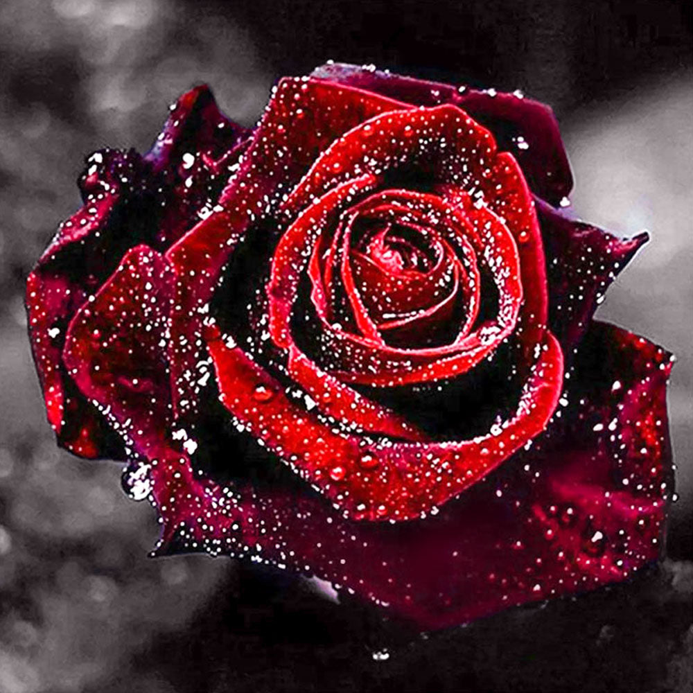 5D Diamond Painting Rote Rose - Unique-Diamond