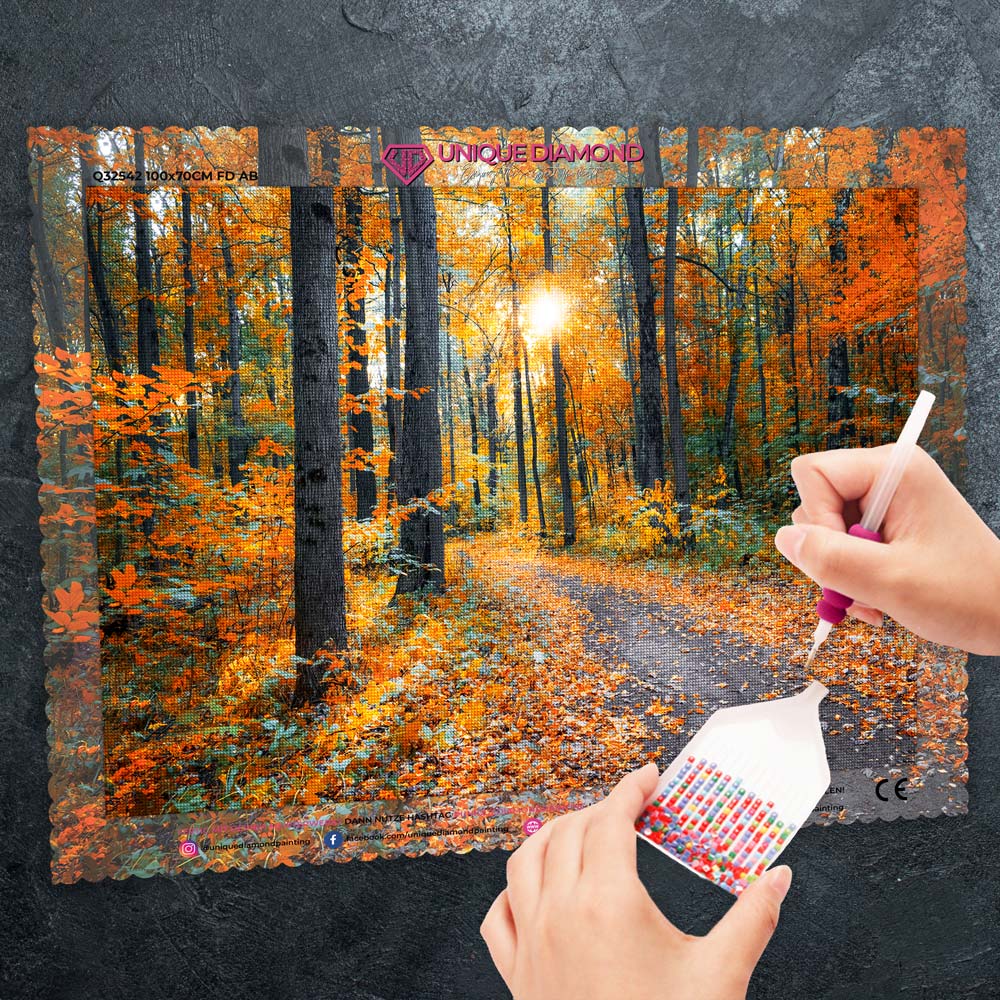 5D Diamond Painting – Waldweg im Herbst Unique-Diamond