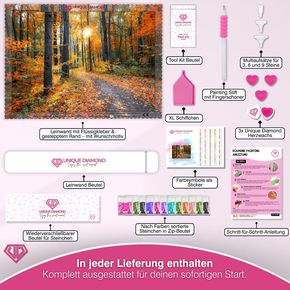 5D Diamond Painting – Waldweg im Herbst Unique-Diamond