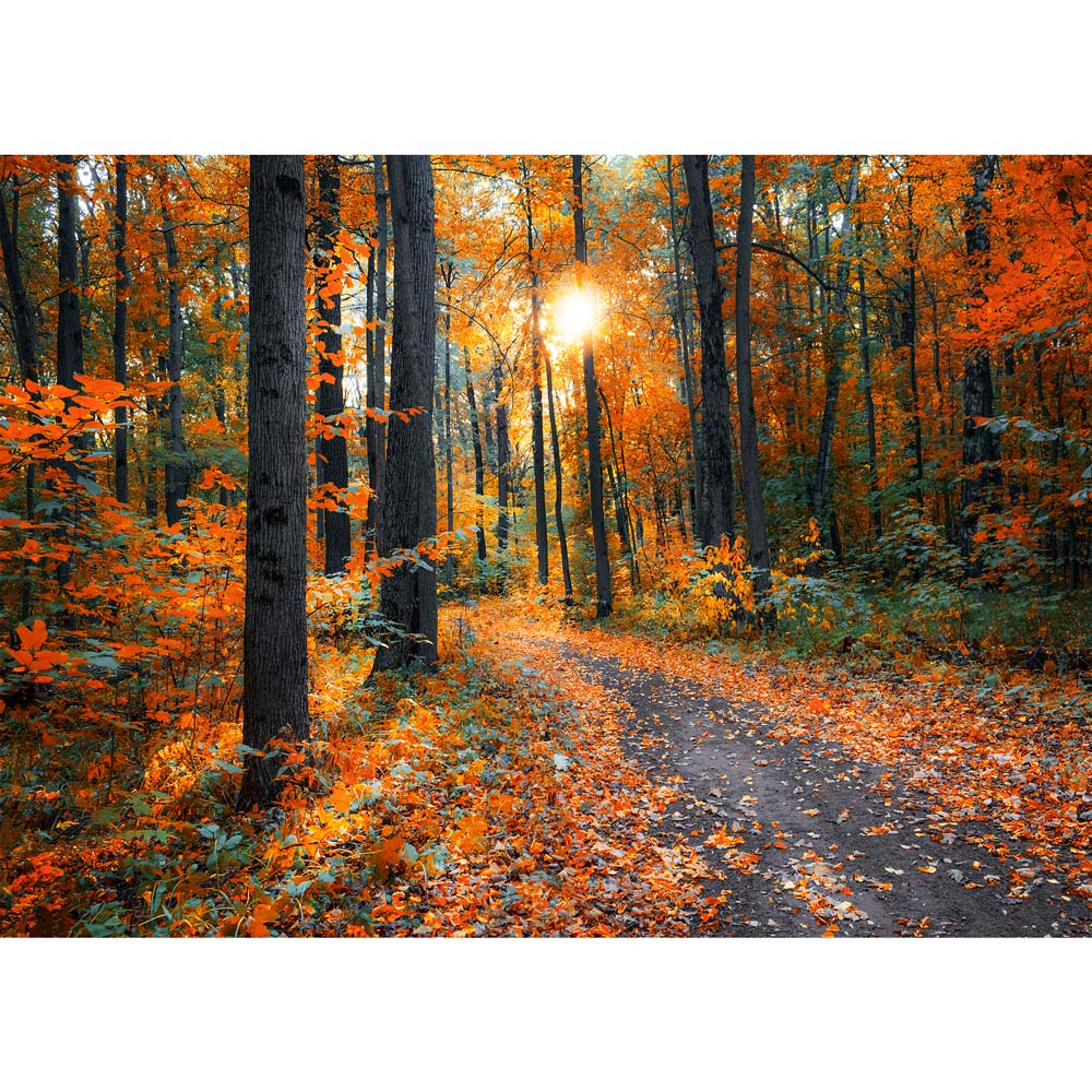5D Diamond Painting – Waldweg im Herbst Unique-Diamond