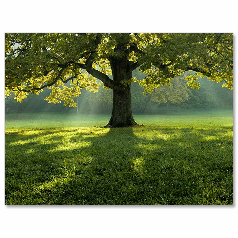 5D Diamond Painting Baum - Unique-Diamond