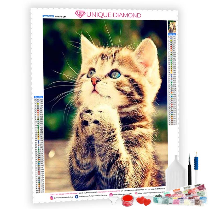 5D Diamond Painting betende Katze - Unique-Diamond