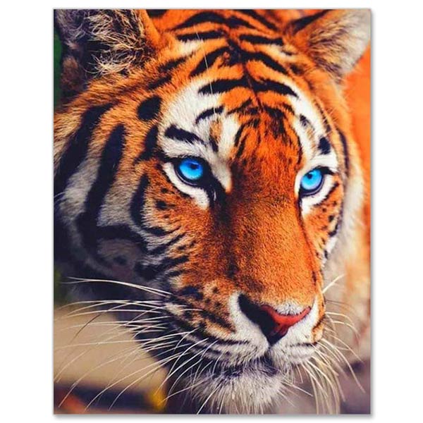 5D Diamond Painting Blue Eyed Tiger - Unique-Diamond