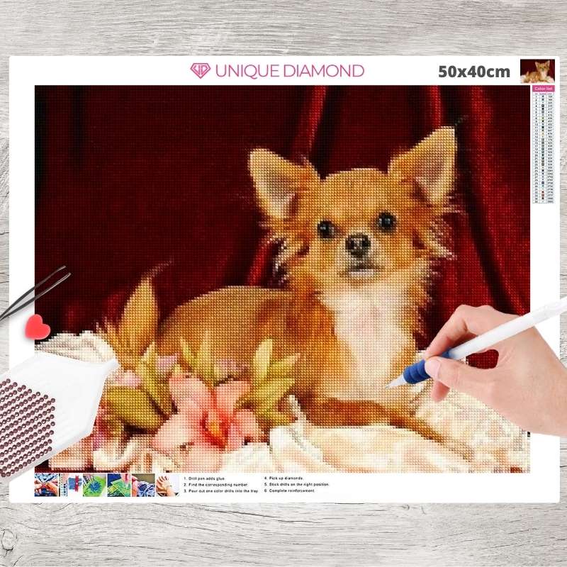 5D Diamond Painting Chihuahua - Unique-Diamond