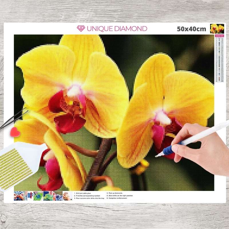 5D Diamond Painting Gelbe Orchidee - Unique-Diamond