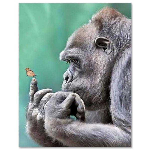 5D Diamond Painting Gorilla mit Schmetterling - Unique-Diamond