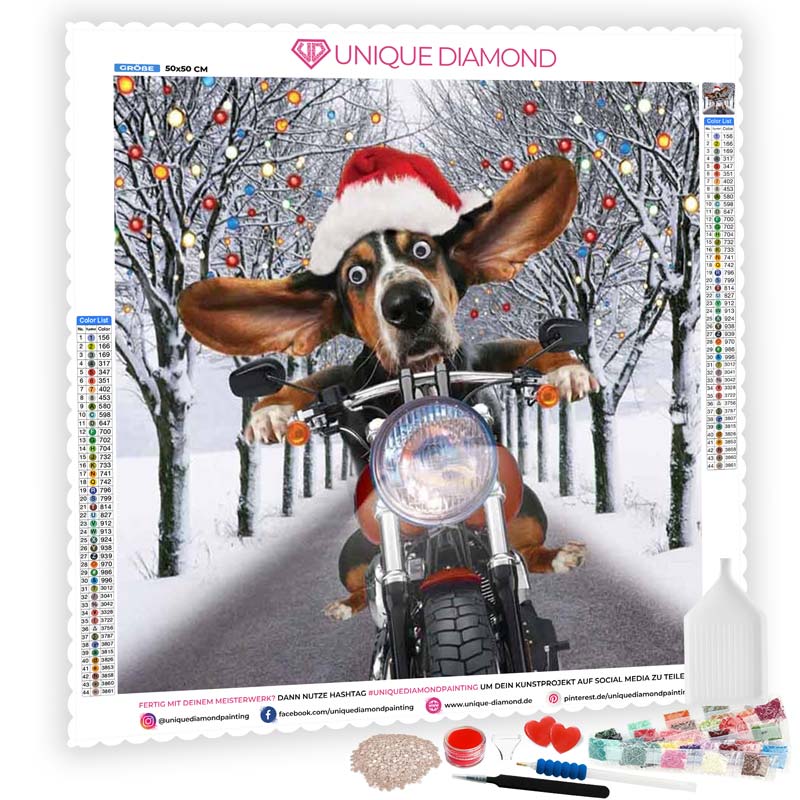 5D Diamond Painting Hund mit Motorrad - Unique-Diamond